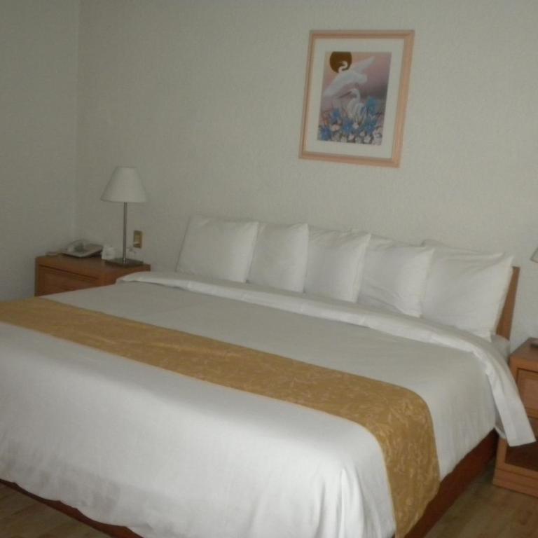 Hotel PF - Habitación Estándar - Cama extragrande - 27