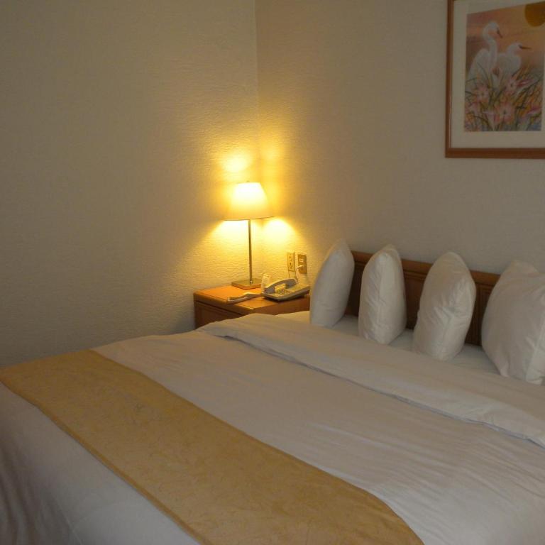 Hotel PF - Habitación Estándar - Cama extragrande - 25