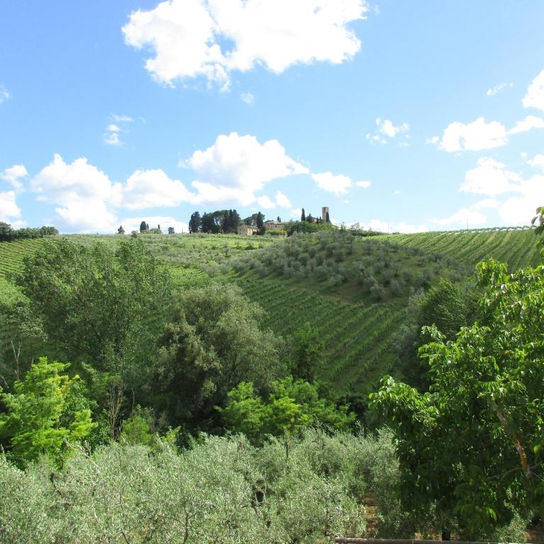 Agriturismo Podere Cappella - Double Room with Private Bathroom - 13