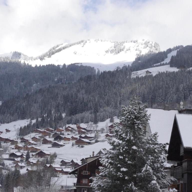 Central Hostel Chatel - Chalet - 60