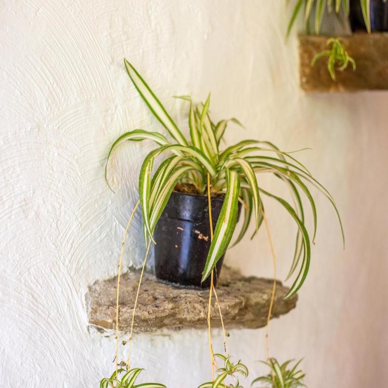 Peaceful Garden Retreat, Berre - Maison de Vacances 1 Chambre - 26