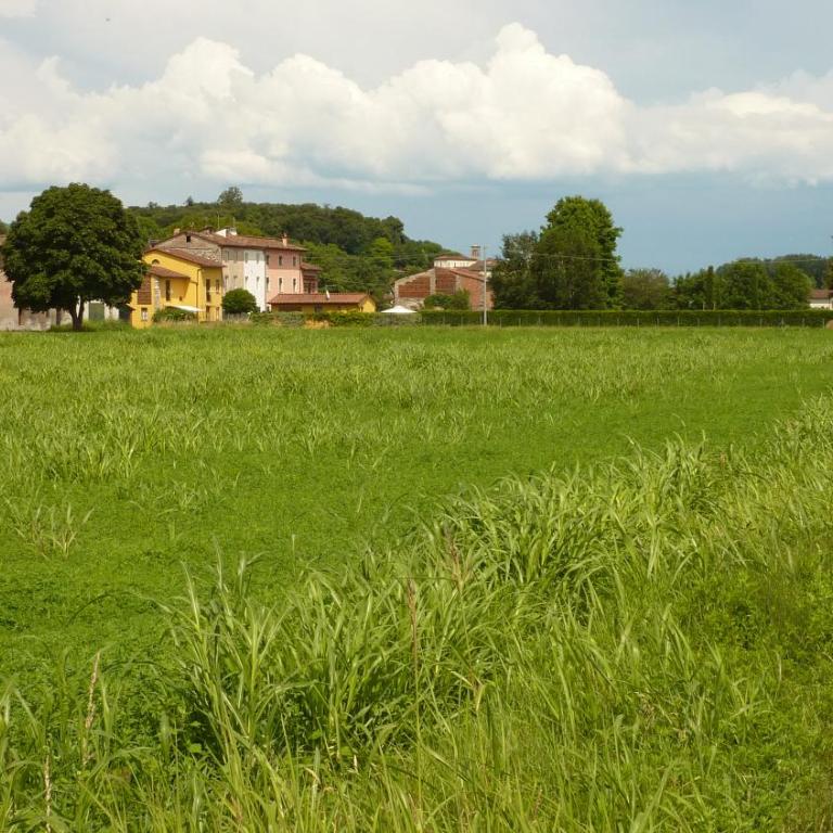 Il Nido - Casa Vacanze - 9