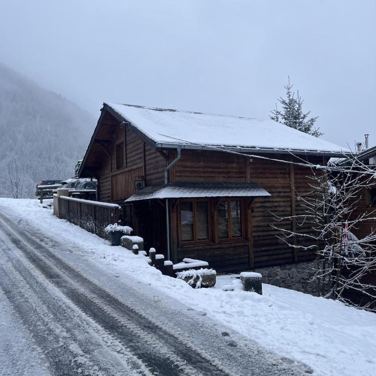 Gentianes Chalet - Snow and Trek - Morzine - Three-Bedroom Apartment with Mountain View - 28