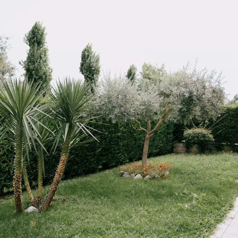 Riva Serena - Appartamento Palma - Appartamento con 1 Camera da Letto - 33