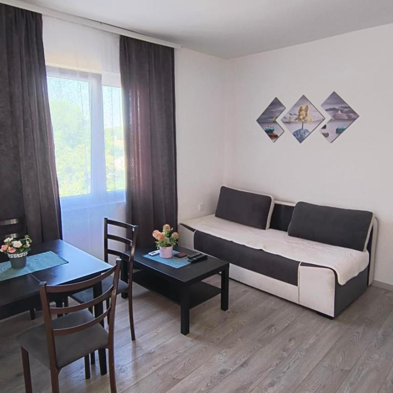 Apartman IKA Sokobanja - Apartman sa 1 Spavaćom Sobom - 2
