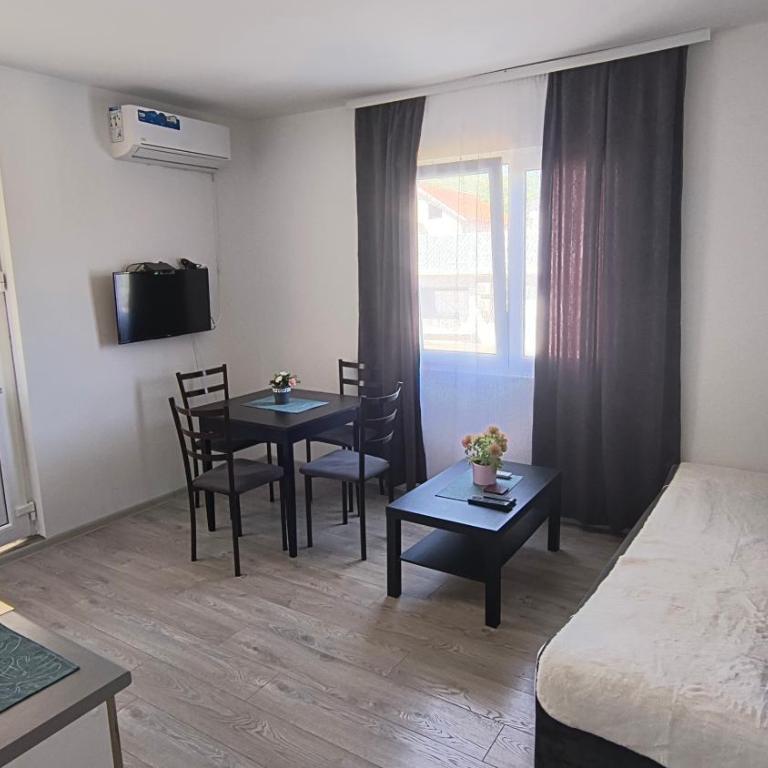 Apartman IKA Sokobanja - Apartman sa 1 Spavaćom Sobom - 5