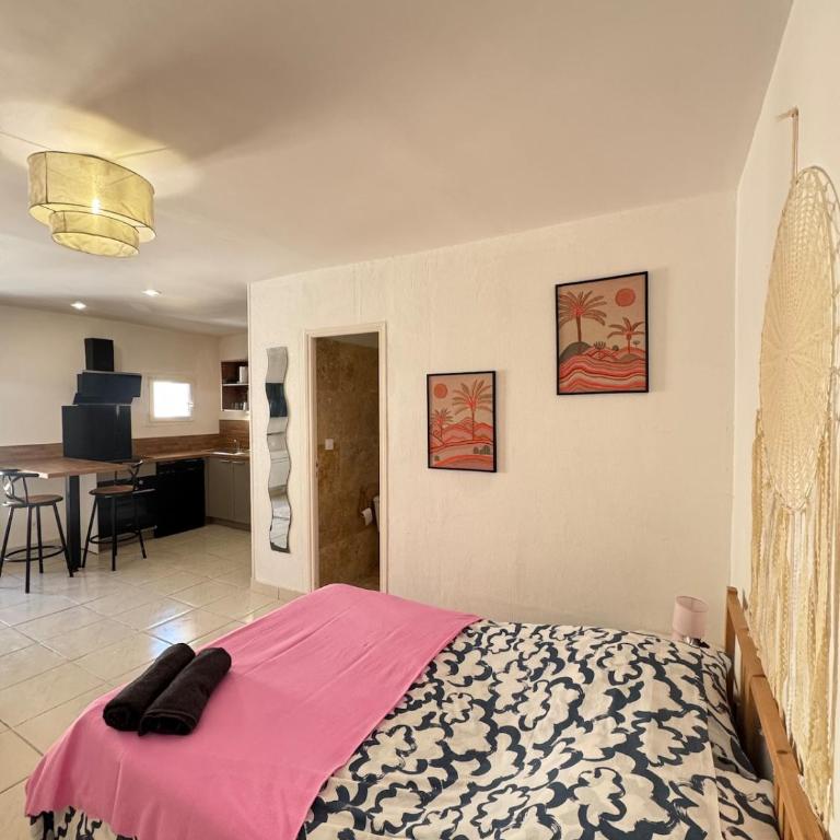 magnifique Studio centre historique n5 - Appartement 1 Chambre - 1
