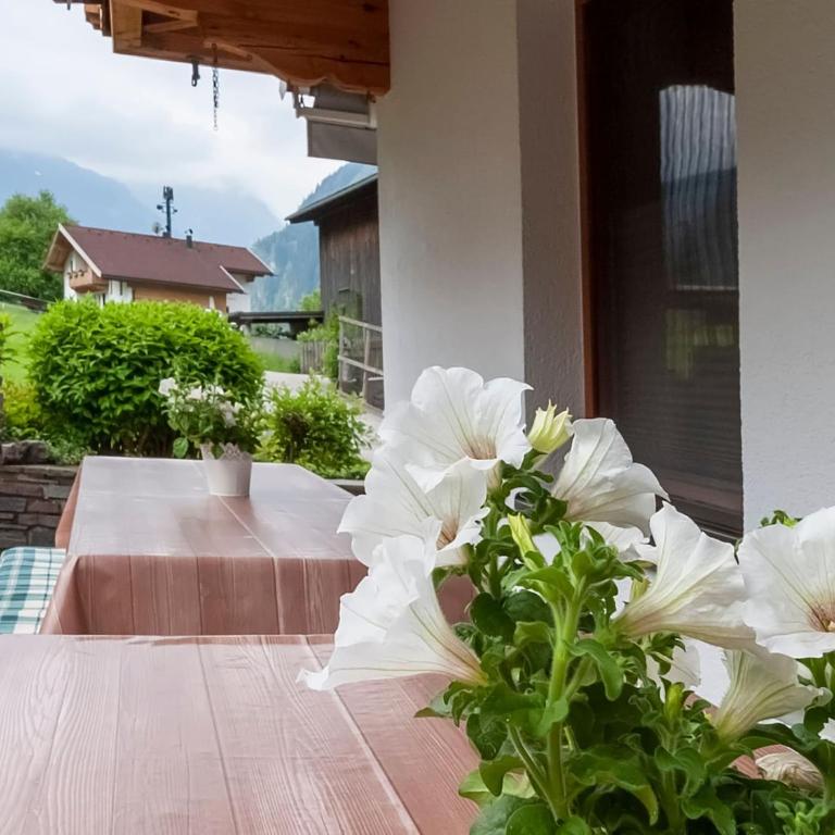 Moiklerhof holiday home in Ramsau im Zillertal - Apartment mit 8 Schlafzimmern - 22