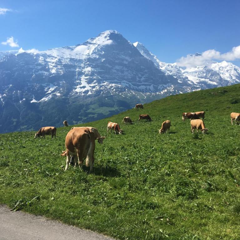Locherboden - Apartment mit Blick auf die Berge - 18