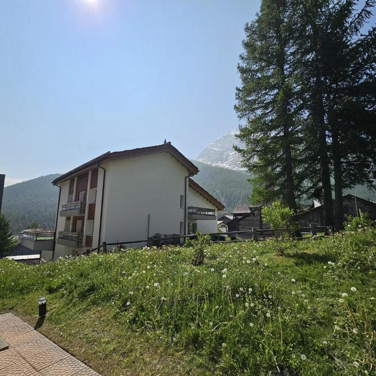 Chateau EG - Apartment mit 1 Schlafzimmer und Garten - 16