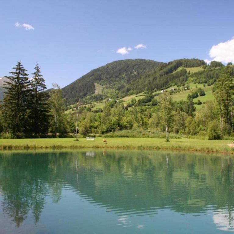 Sunlit Cabin with Jacuzzi in Turracherhohe - Ferienhaus mit 2 Schlafzimmern - 8