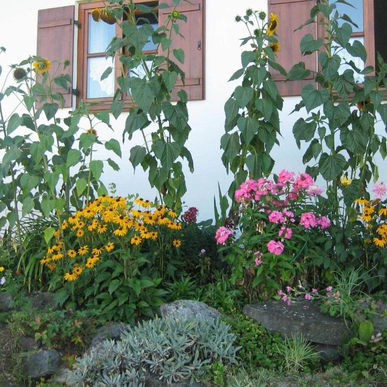 Apartment in the Allgäu with view of the Bavarian Alps - Apartment mit 2 Schlafzimmern - 10