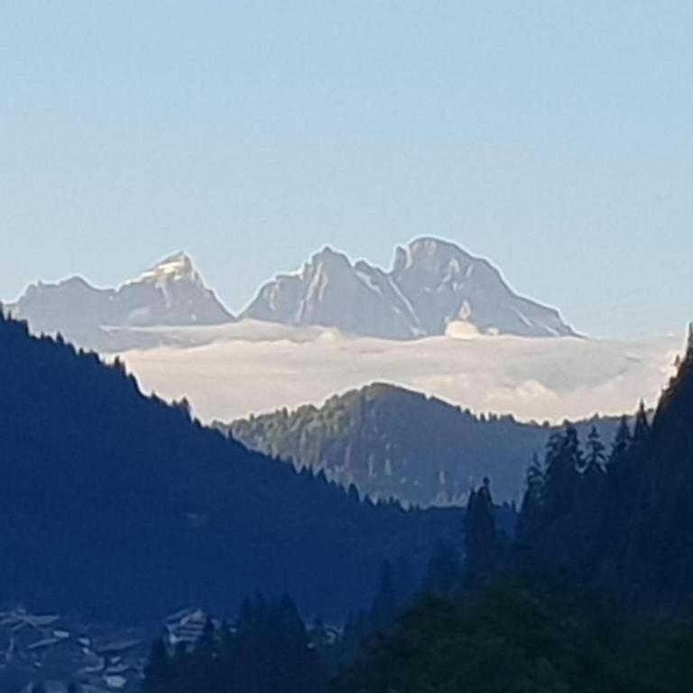 Chalet in Saint-Jean near Ski Lift - Chalet Supérieur - 38