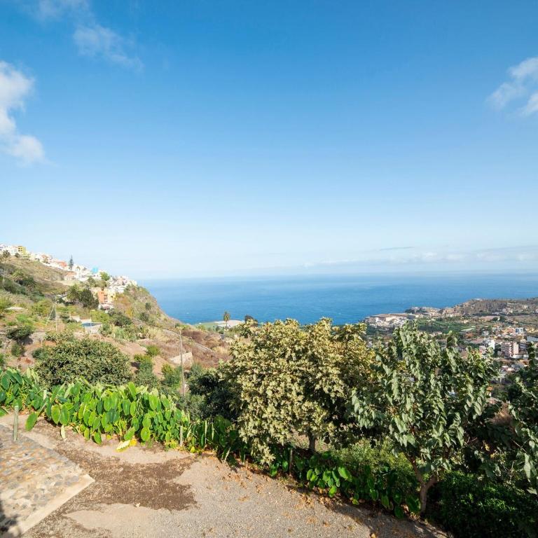 Apartment with views of the coastline of Tenerife - Casa de vacaciones de 1 dormitorio - 12