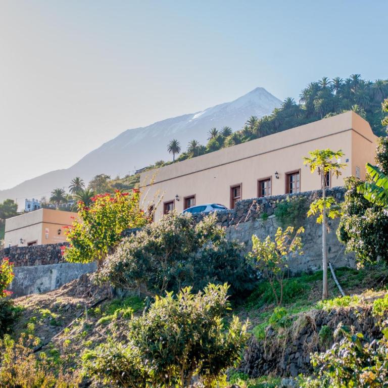 Apartment with views of the coastline of Tenerife - Casa de vacaciones de 1 dormitorio - 5