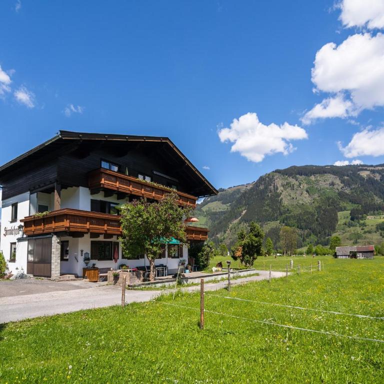 Contemporary Apartment in Maishofen near Ski Area - Apartment mit 3 Schlafzimmern - 6