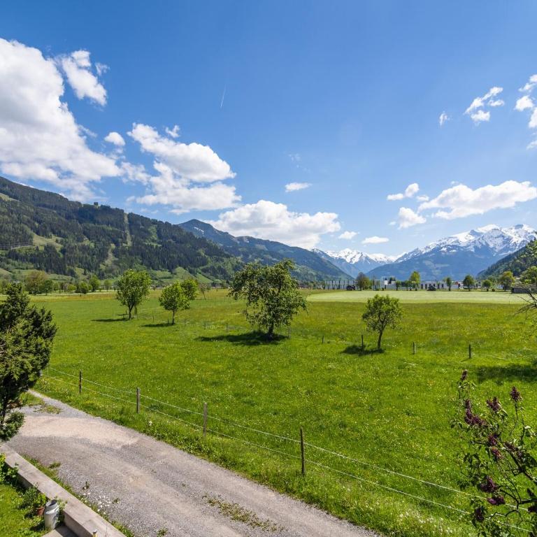 Contemporary Apartment in Maishofen near Ski Area - Apartment mit 3 Schlafzimmern - 1