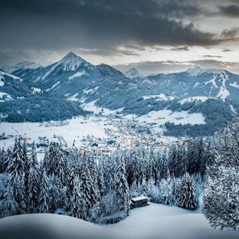 Contemporary Apartment in Maishofen near Ski Area - Apartment mit 4 Schlafzimmern - 1