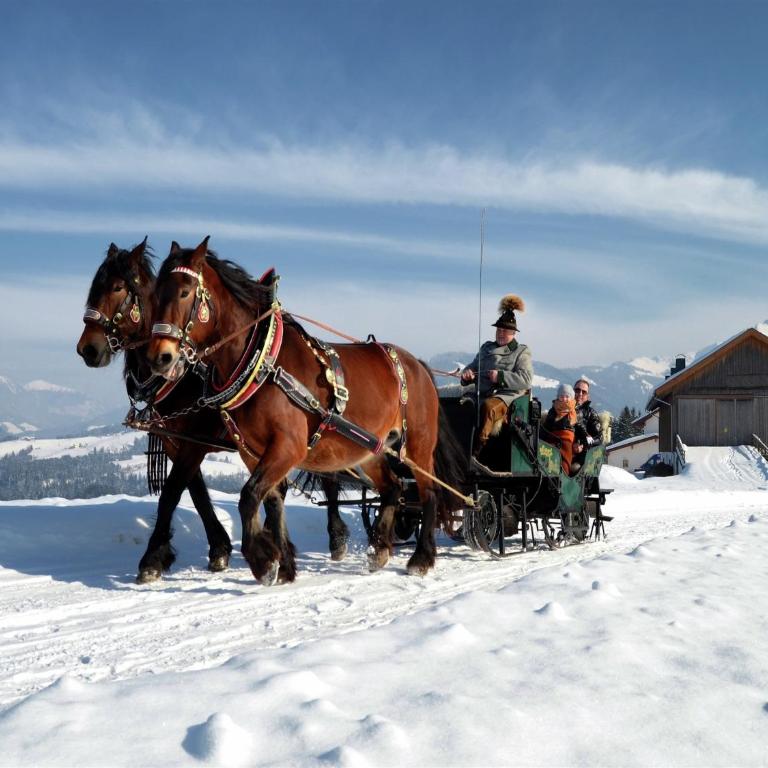 Modern Holiday Home in Maria Alm near Ski Area - Ferienhaus mit 7 Schlafzimmern - 27