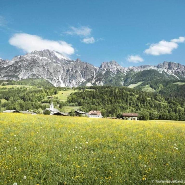 Modern Holiday Home in Maria Alm near Ski Area - Ferienhaus mit 3 Schlafzimmern - 20