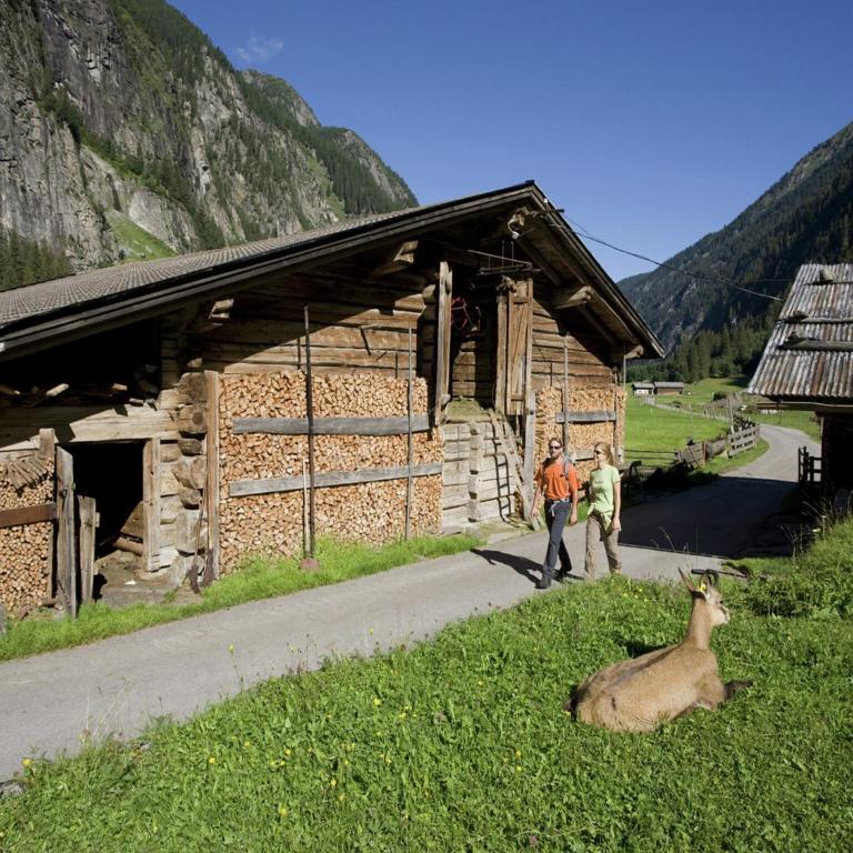 Spacious Holiday Home near Ski Area in Kaltenbach - Four-Bedroom Apartment - 17