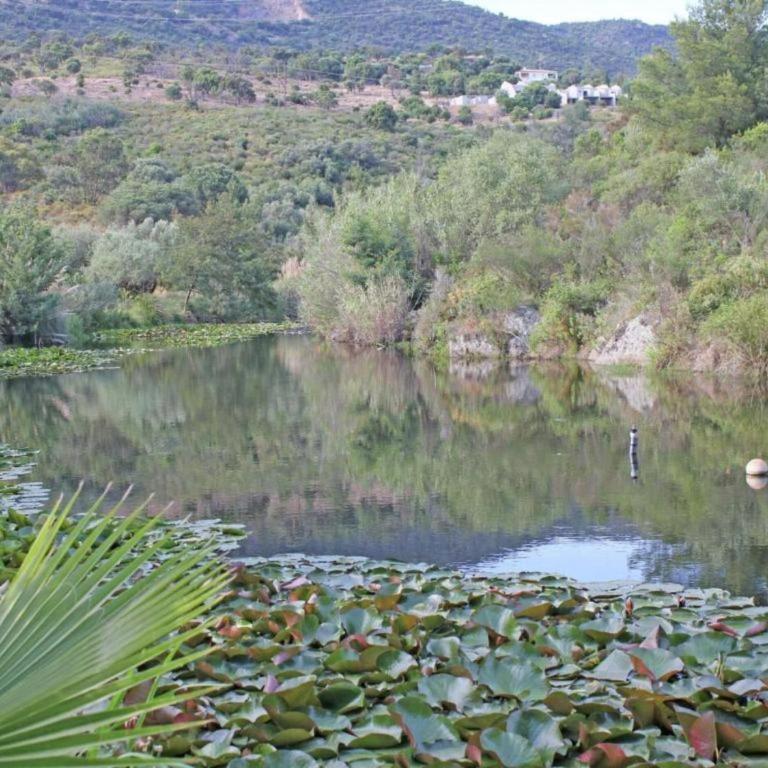 Provencal Holiday Home in Bormes-les-Mimosas with Pool - Maison de Vacances 2 Chambres - 28
