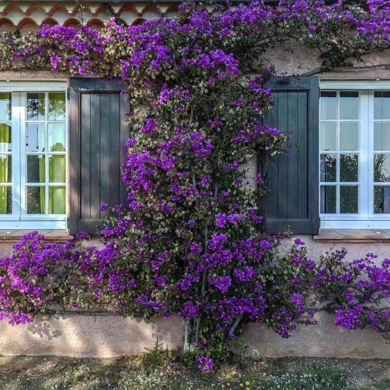 Provencal Holiday Home in Bormes-les-Mimosas with Pool - Maison de Vacances 3 Chambres - 30