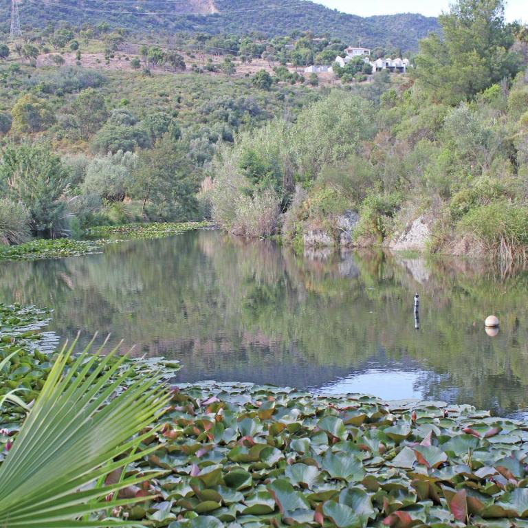 Provencal Holiday Home in Bormes-les-Mimosas with Pool - Maison de Vacances 3 Chambres - 10