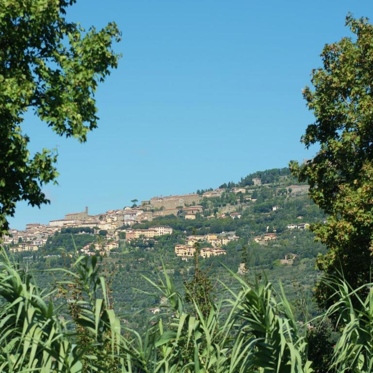 Luxurious, cozy apartment with pool near Cortona in Tuscany versatile - Casa Vacanze con 1 Camera da Letto - 1