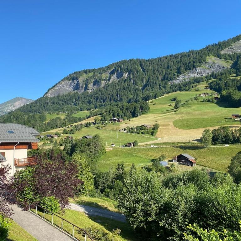L'Ecrin des Myrtilles - Appartement cosy - Piscine et vue montagne - Alpes - Val d'Arly - Aravis et Beaufortain - Appartement 1 Chambre - 33