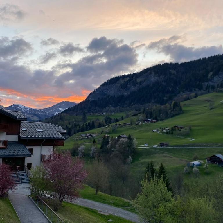 L'Ecrin des Myrtilles - Appartement cosy - Piscine et vue montagne - Alpes - Val d'Arly - Aravis et Beaufortain - Appartement 1 Chambre - 32