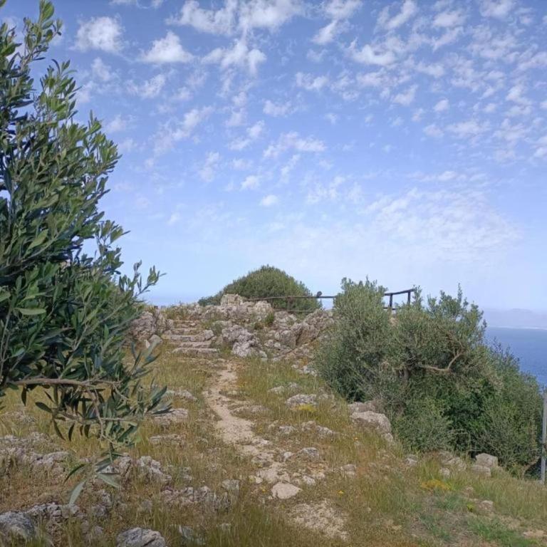 Villa in Castellammare del Golfo with private pool - Casa Vacanza con 5 Camere da Letto - 3