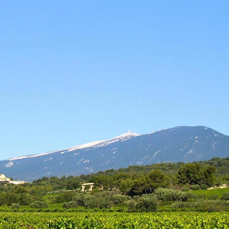 Charming holiday flat with shared pool, Malaucène - Appartamento con 1 Camera da Letto - 17