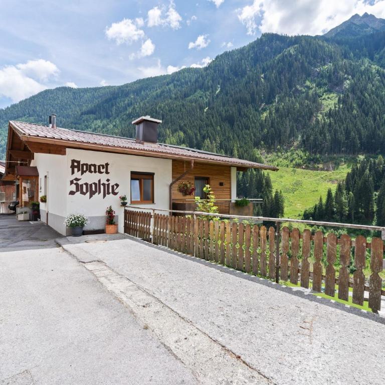 Apartment in Kappl near Ski Slopes - Apartment mit 3 Schlafzimmern - 5