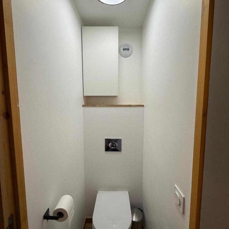 L'ecrin des alpages Belle Plagne,T2 pour 5 personnes, skis aux pieds - Location dimanche au dimanche - One-Bedroom Apartment - 13