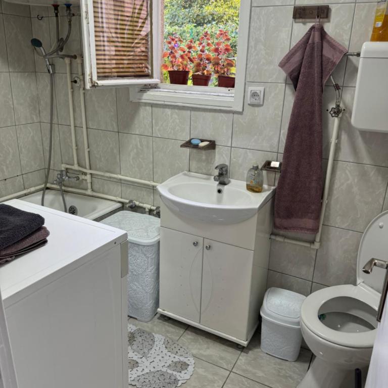 Apartman Đurđevak ,Banja Koviljača - Apartman sa 2 Spavaće Sobe - 12