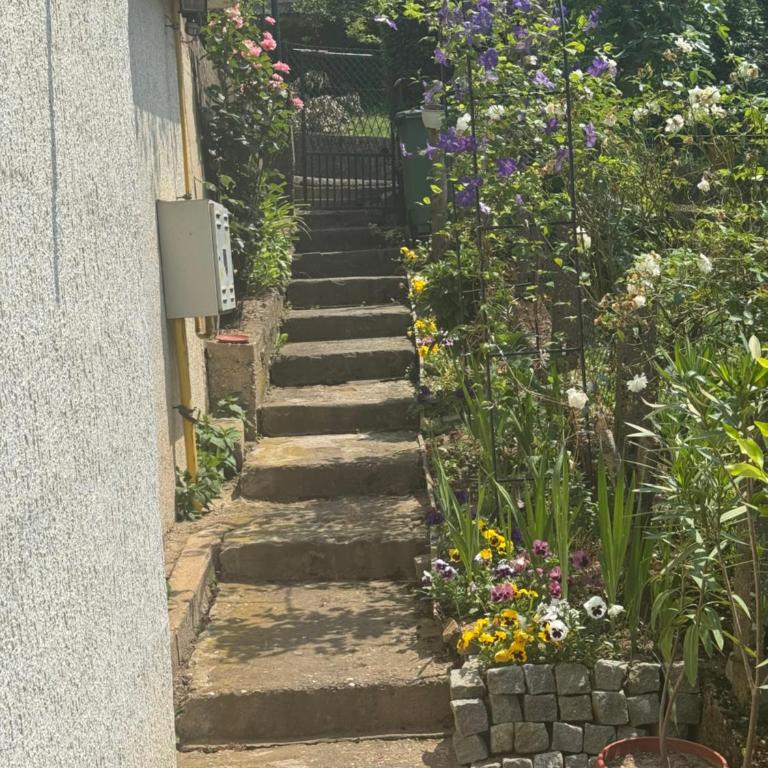 Apartman Đurđevak ,Banja Koviljača - Apartman sa 2 Spavaće Sobe - 18