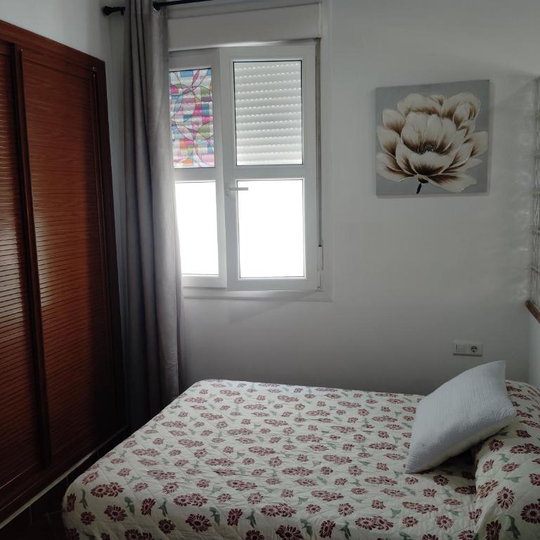 Apartamento - Apartamento - Planta baja - 7