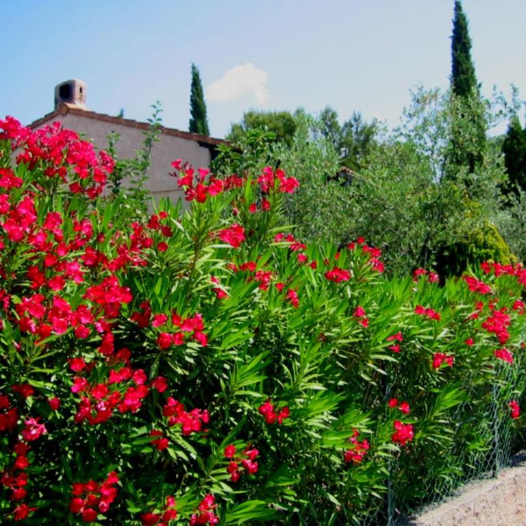 Villa in Fréjus with Pool near Beach - Villa 3 Chambres - 28