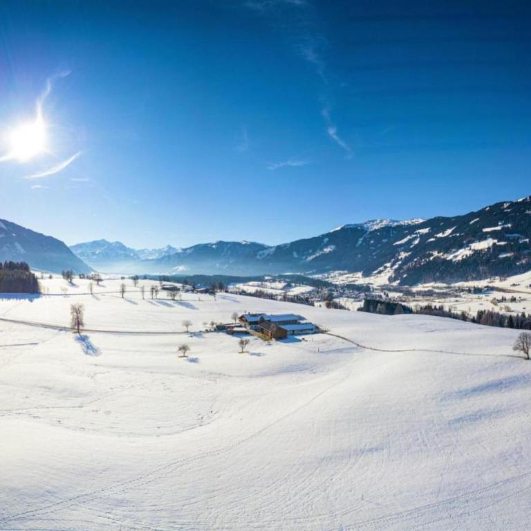 Large holiday home with plenty of privacy - Four-Bedroom Apartment - 40
