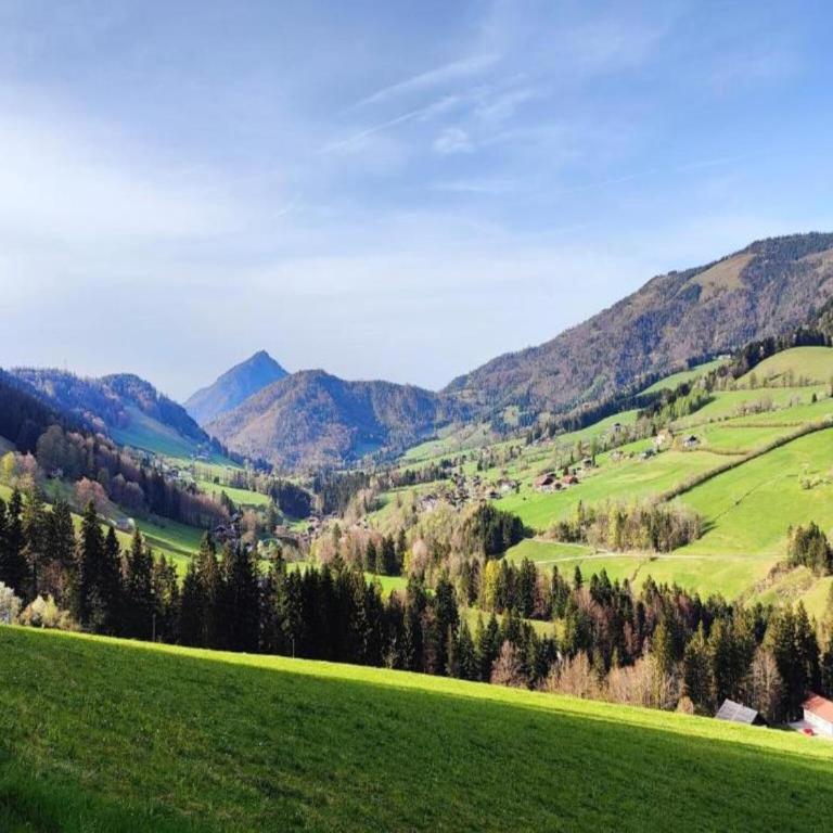 Large holiday home with plenty of privacy - Four-Bedroom Apartment - 25