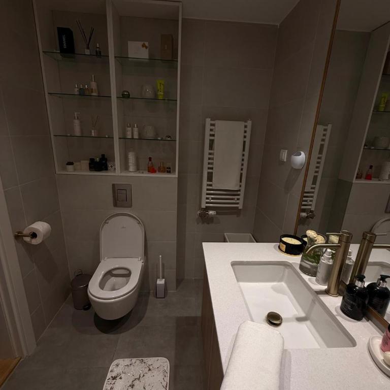 Luxurious Apartment in Belgrade Waterfront - Apartman sa 1 Spavaćom Sobom - 29