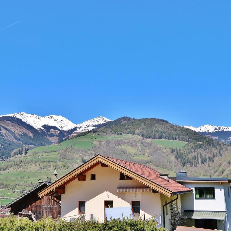 Apartment in Niedernsill near Ski Slopes - Appartement 2 Chambres - 13