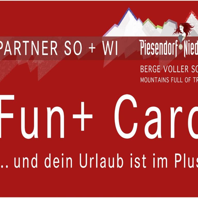 Apartment in Niedernsill near Ski Slopes - Appartement 2 Chambres - 15