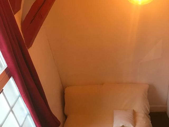 Appartement Hypercentre de Troyes, Le BOUCHON, proche Gare - Apartment mit 1 Schlafzimmer - 5