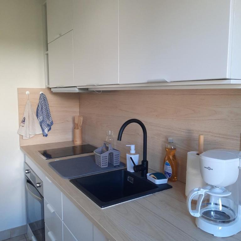 Maisonnette au bord du Sierroz - Casa con 1 dormitorio - 8