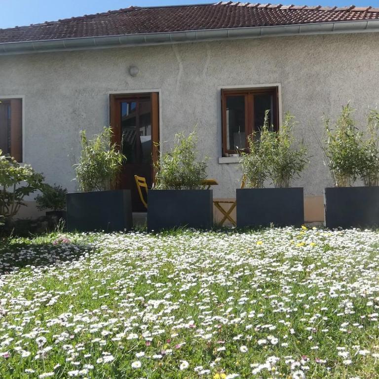 Maisonnette au bord du Sierroz - Casa con 1 dormitorio - 11