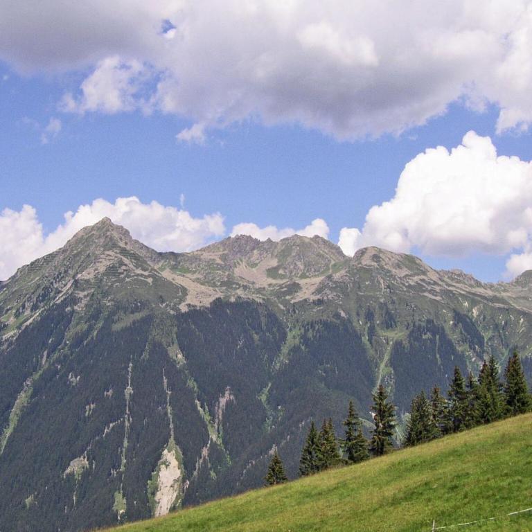 Chalet in Sankt Gallenkirch near Ski Bus - Apartment mit 2 Schlafzimmern - 13