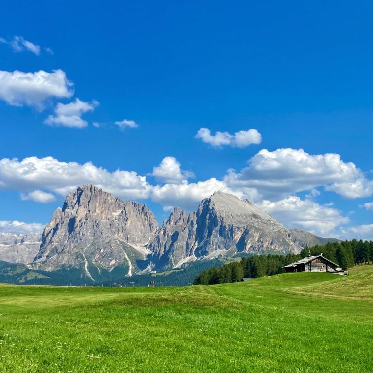 Dolomites Chalet CESA VEDLA -nature & silence - Piccolo Appartamento con 1 Camera da Letto - 19