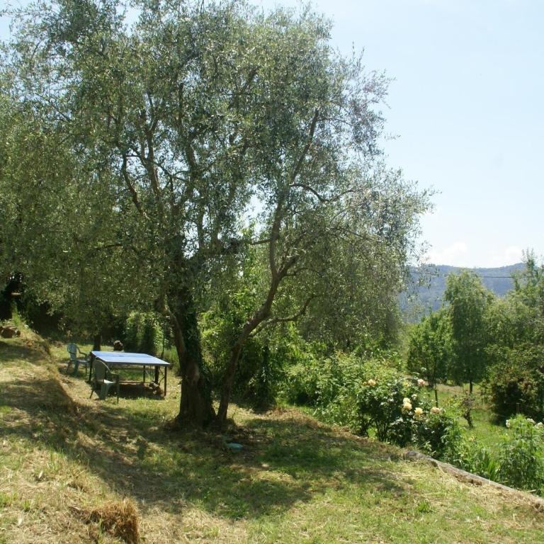 Cozy Hillside Escape in Berre - Two-Bedroom Holiday Home - 24
